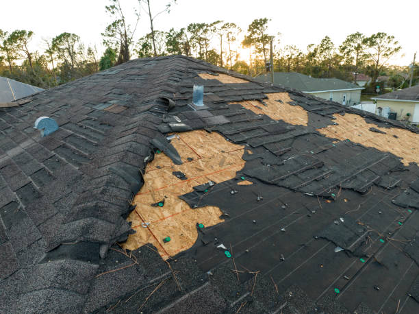 Best Storm Damage Roof Repair  in Manning, SC